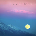 Moon rise over Mt Blanca